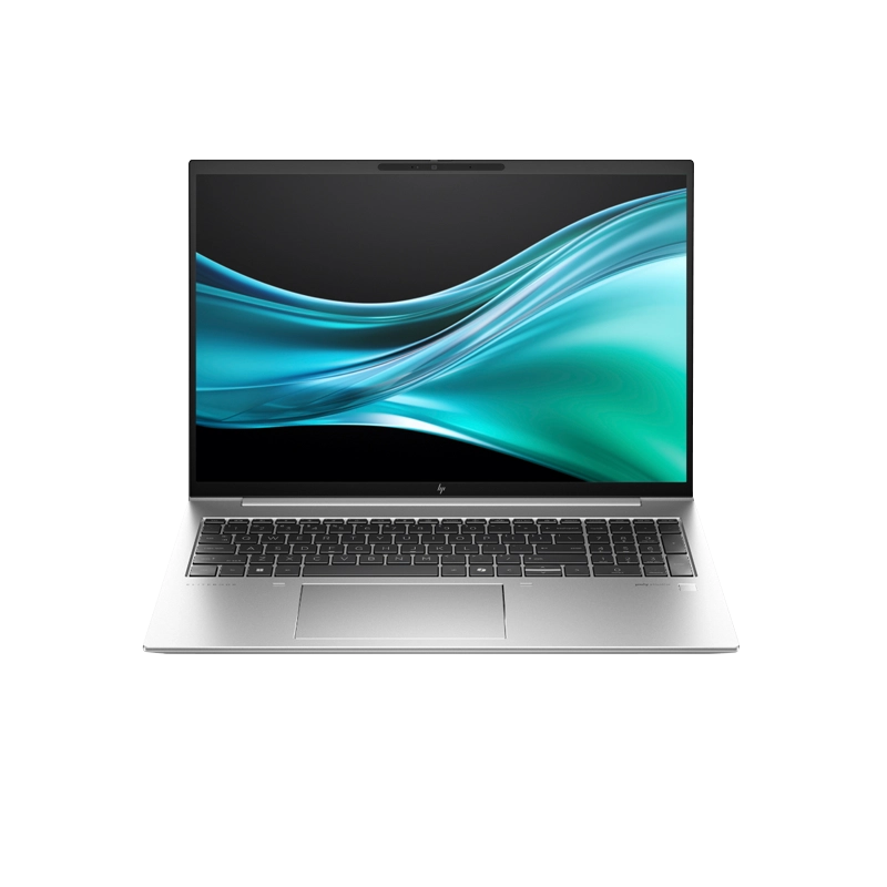 HP EliteBook 865 G11 Notebook PC